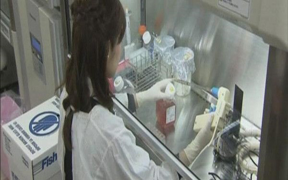   مصر اليوم - العلماء ينجحون في تحويل جلد الإنسان إلى خلايا جذعيّة